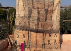 WhatsApp Image 2025-12-19 at 18.29.54