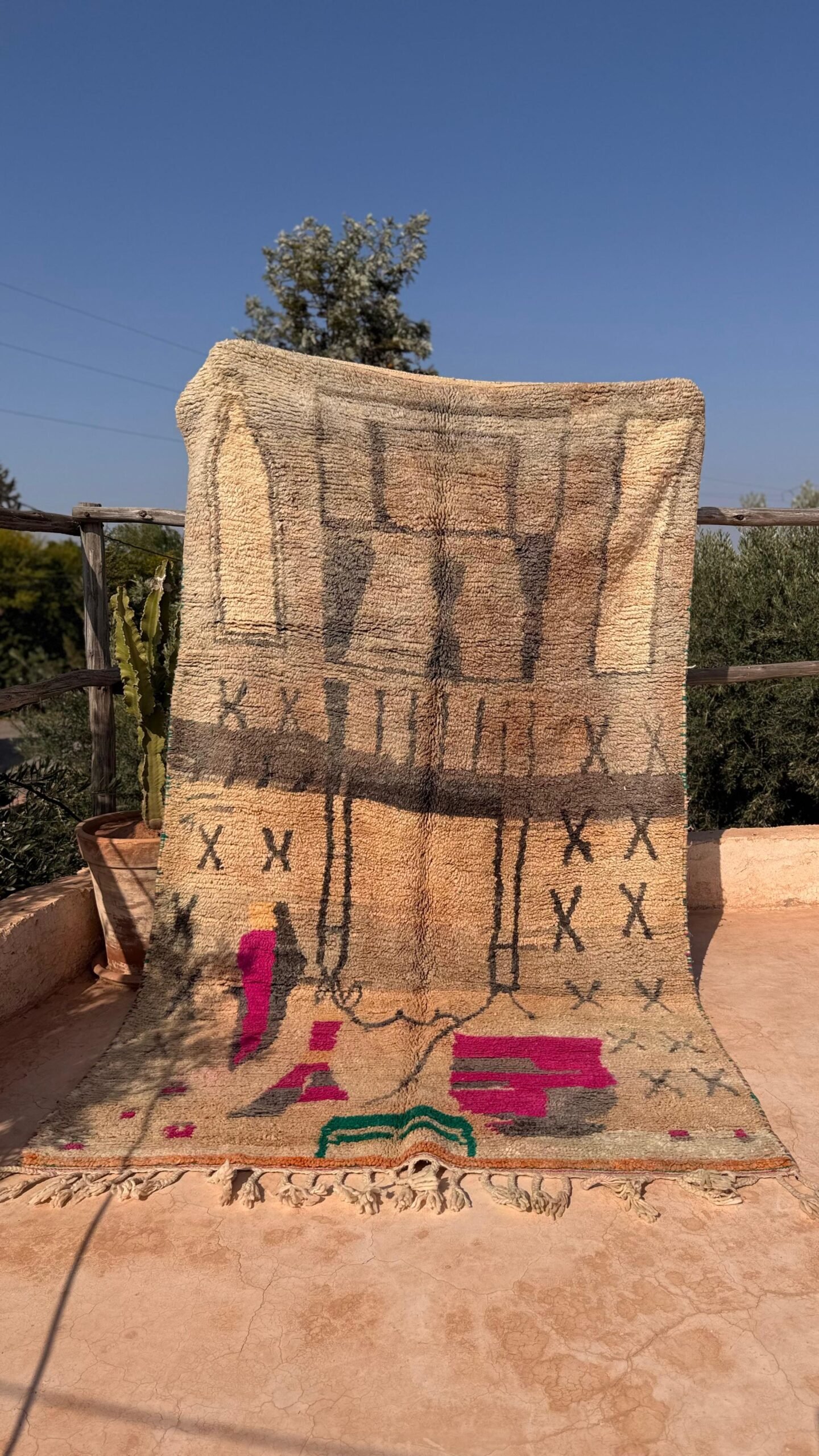 WhatsApp Image 2025-12-19 at 18.29.54