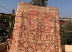 WhatsApp Image 2025-12-19 at 18.29.56 (1)