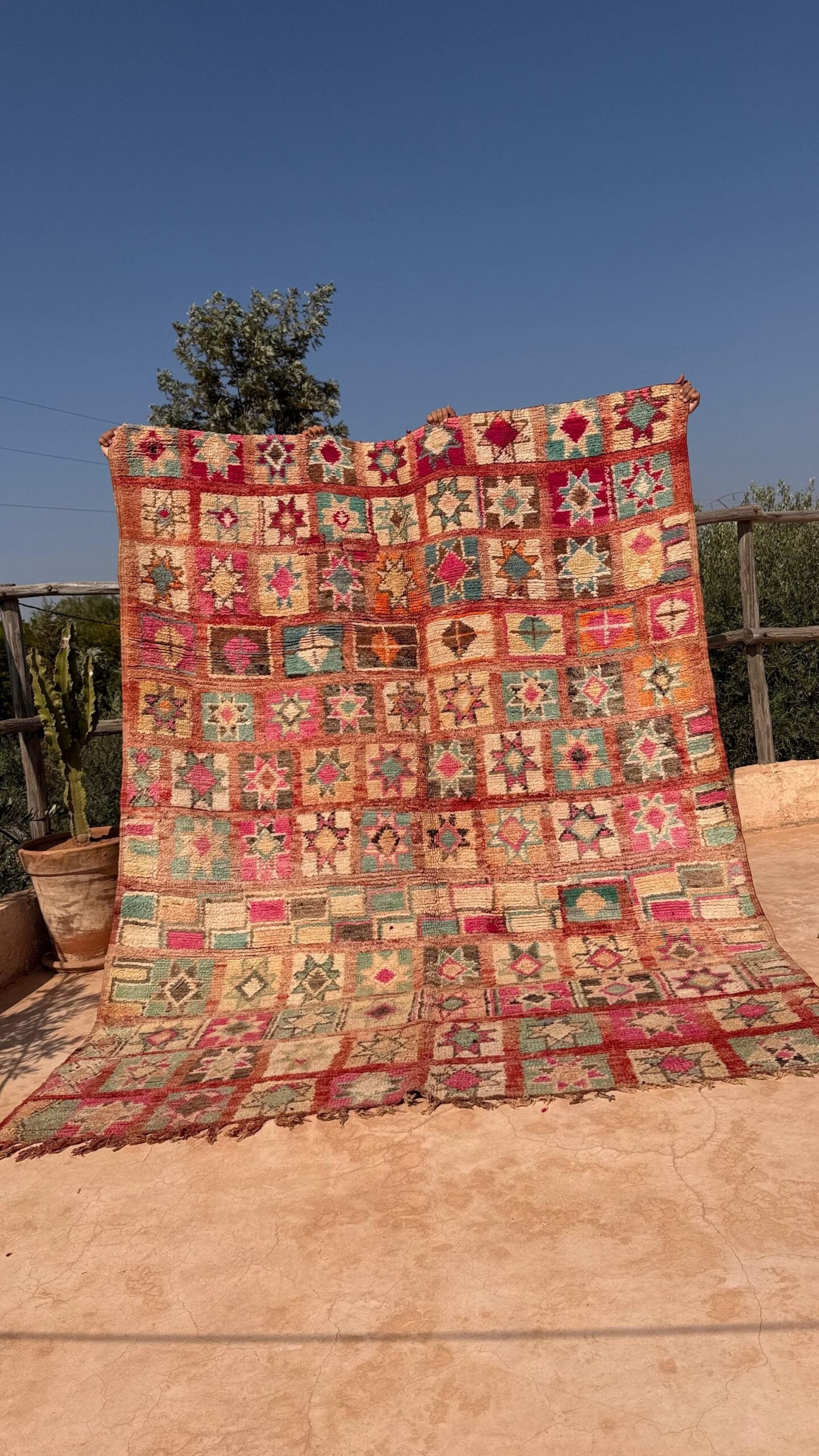 WhatsApp Image 2025-12-19 at 18.28.22 (2)